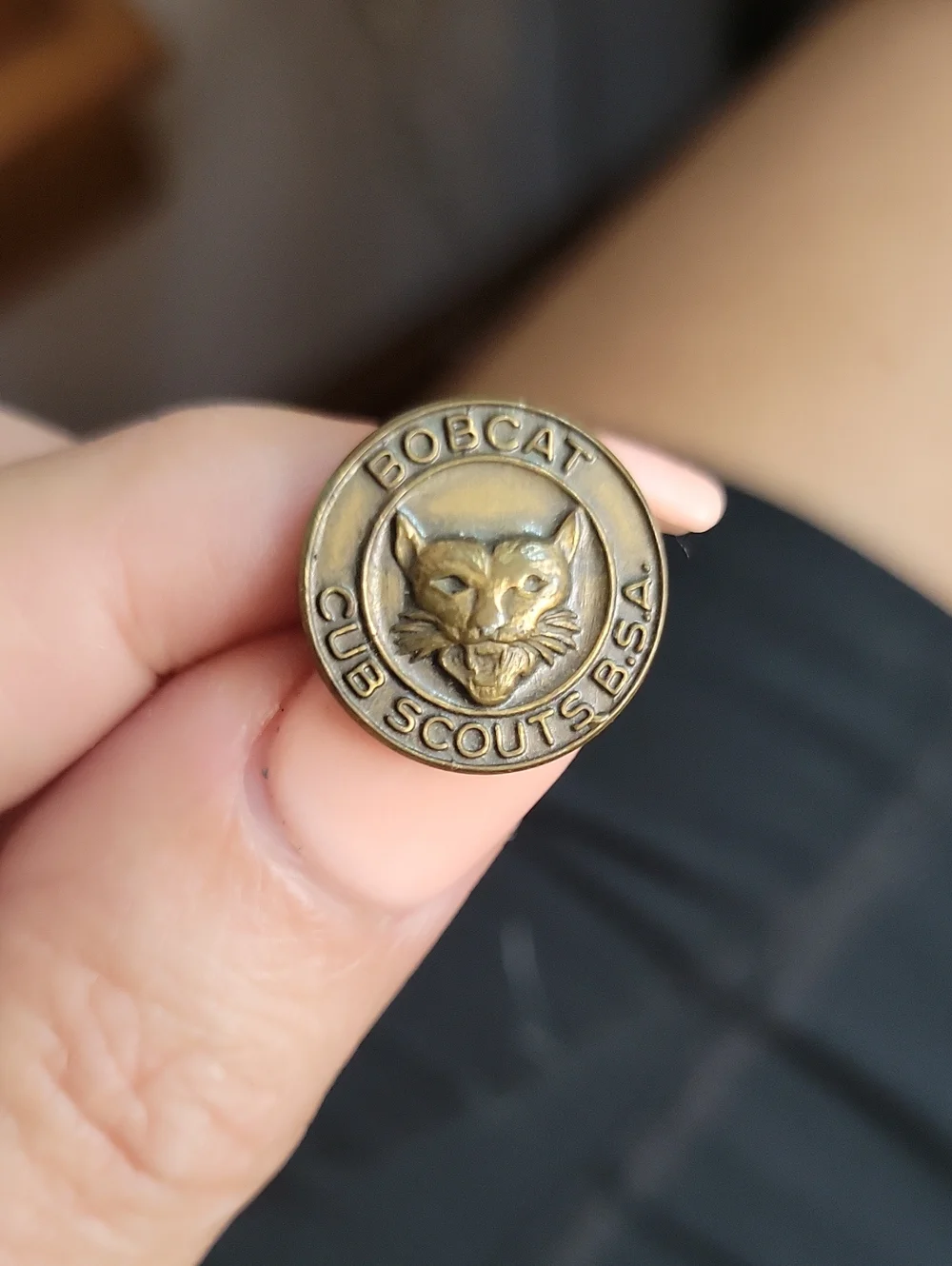 Vintage 1940's Bobcat Club Scouts BSA Bronze Pin